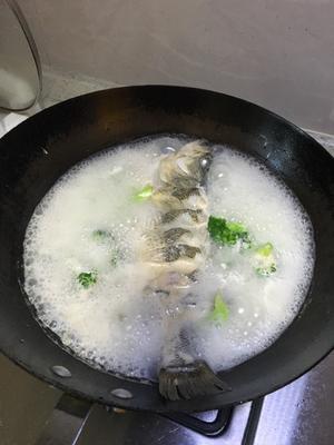 鲈鱼汤的做法 步骤5