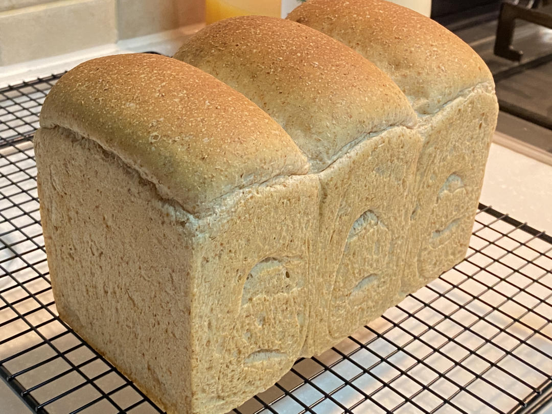 直播100个吐司7:直接法之全麦吐司～水合法（有助于快速出膜）