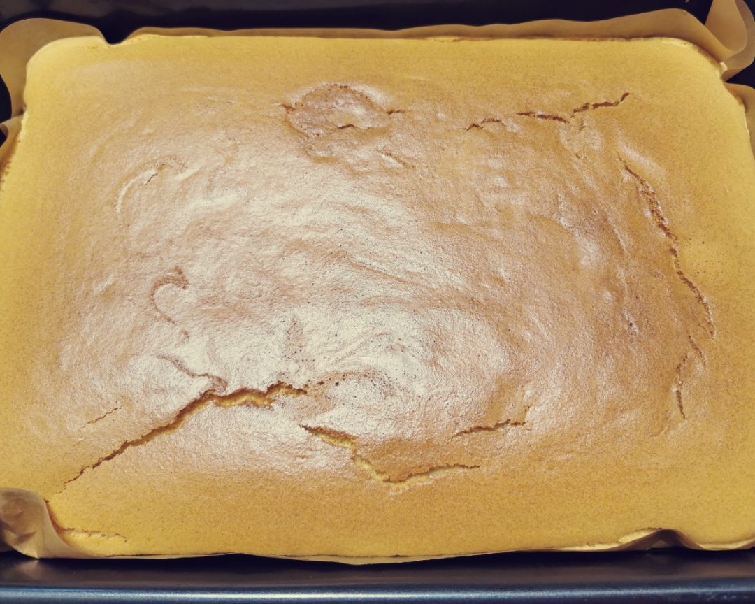 椰香葡萄干蛋糕的做法