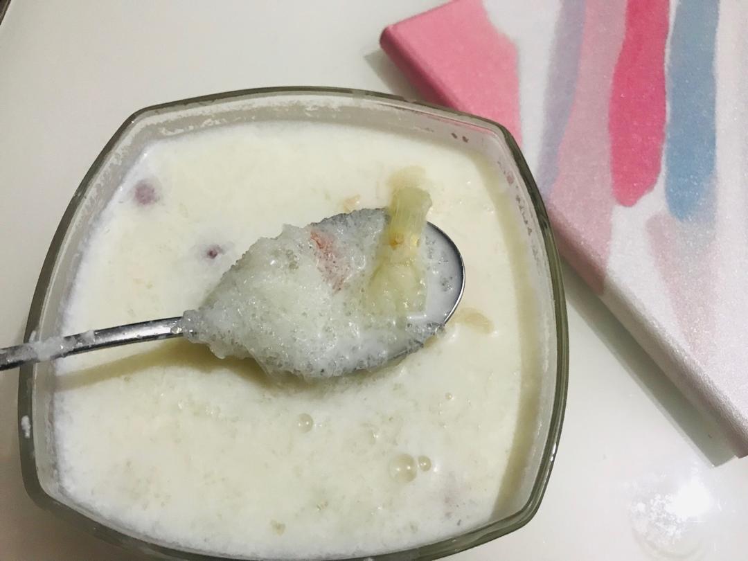 桃胶皂角米牛奶炖雪燕