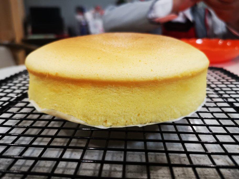 酸奶轻乳酪蛋糕（TM5/TM6）