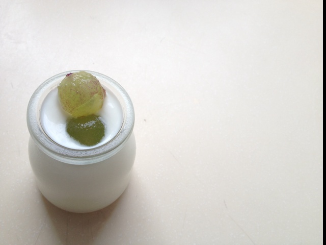 酸奶机自制酸奶