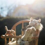 默Mo还是小怪兽