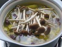 茶树菇玉米鸡汤的做法 步骤4