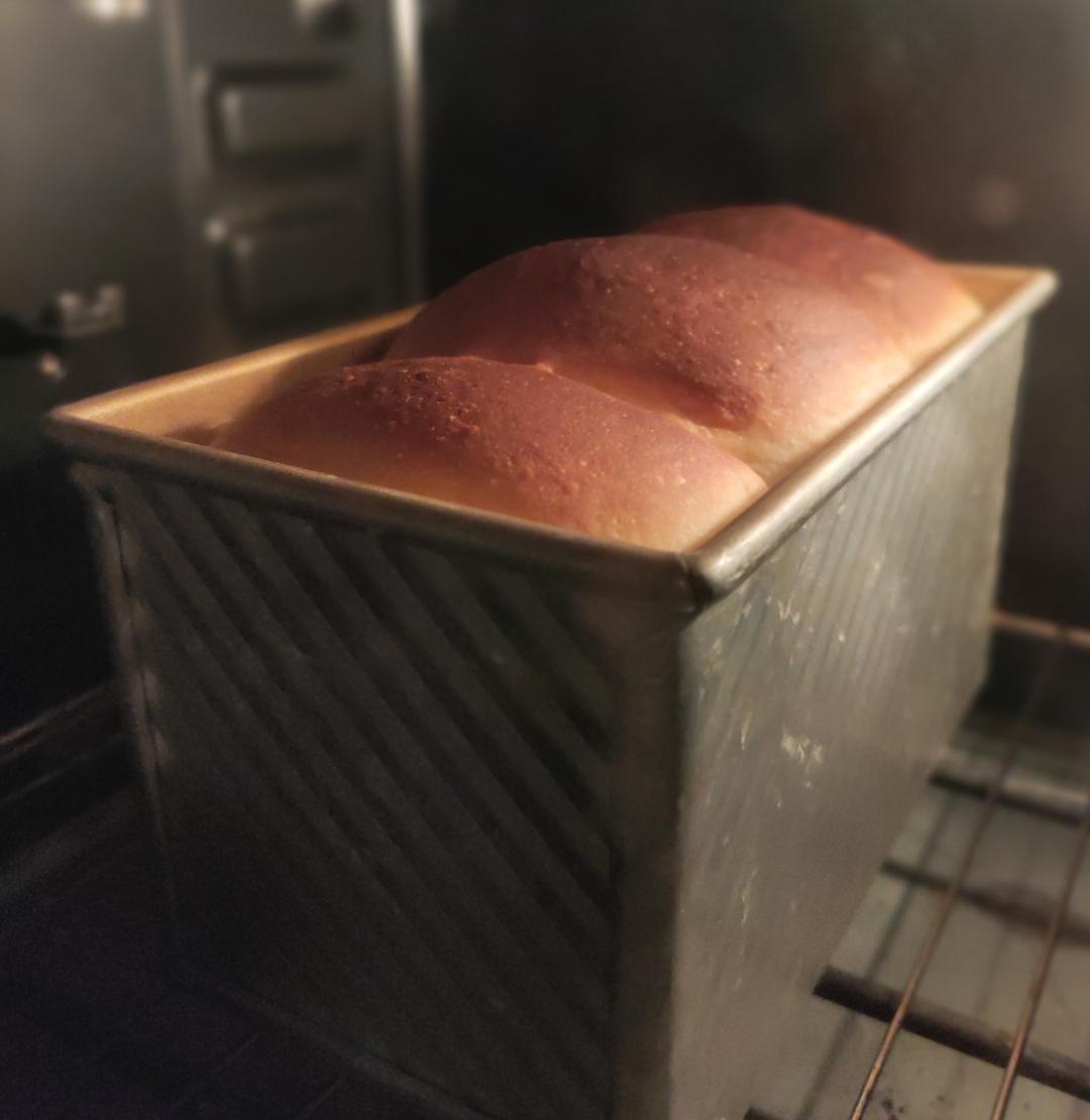 中种烫种超级无敌软的牛奶吐司