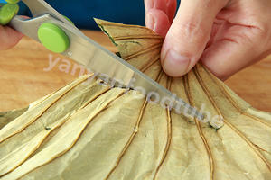 荷香糯米排骨卷 Pork Ribs Wrapped in Water Lily Leaf的做法 步骤4