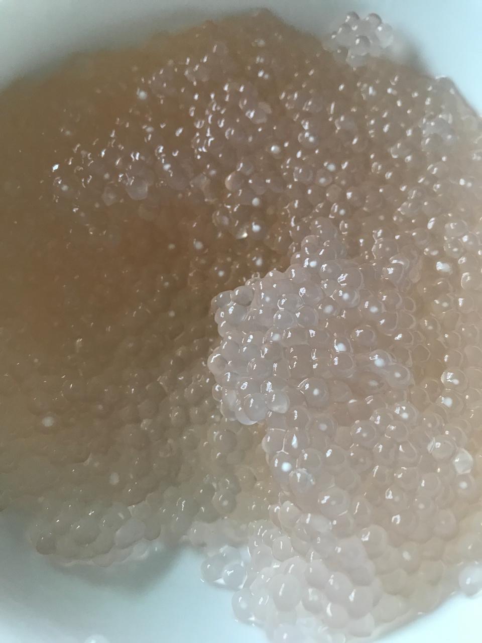 学会西米露煮出晶莹剔透