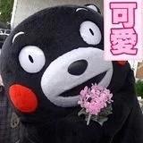 胖胖的小吴