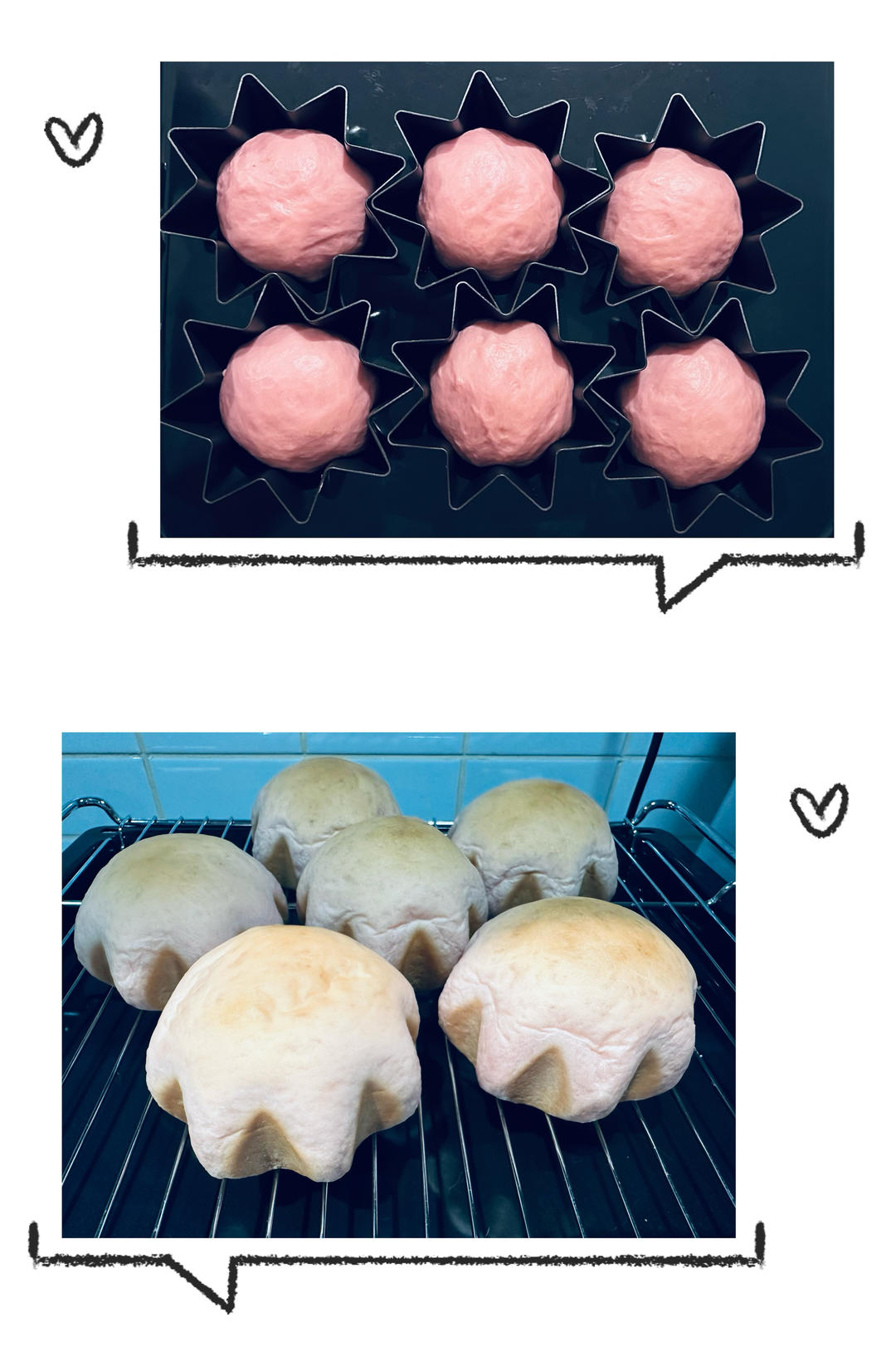 万用面包胚（冷藏中种法）