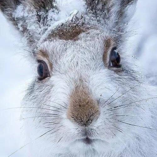 闹腾兔的私家厨房