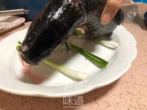 【二十分钟快手菜】清蒸丁桂鱼的做法 步骤6