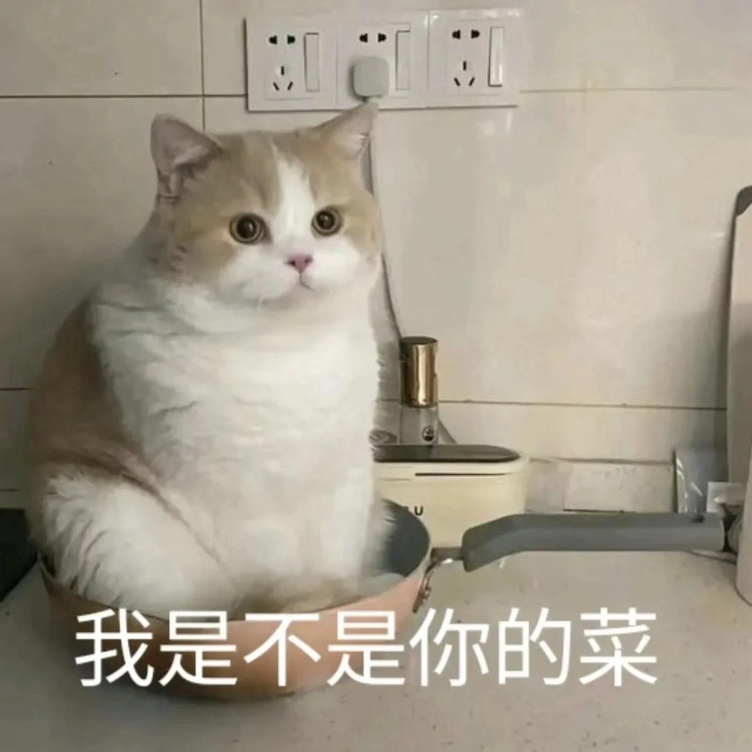 三好猫子