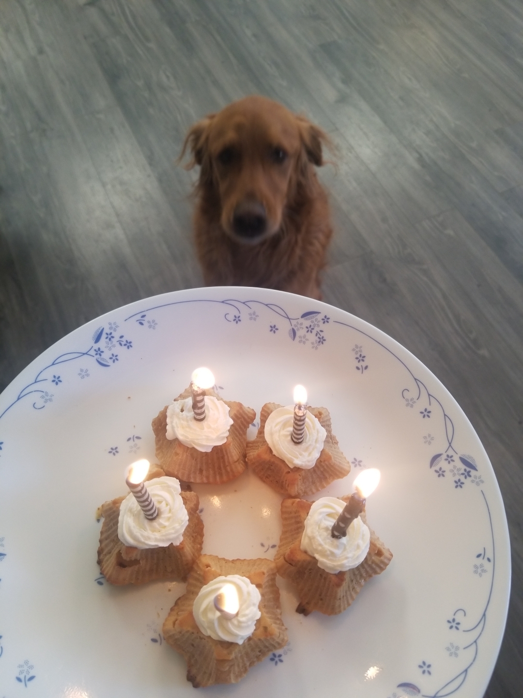 狗狗🐶5岁生日蛋糕的做法