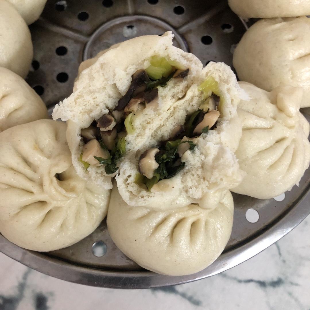 指南露 I 一份发酵面团的错题集