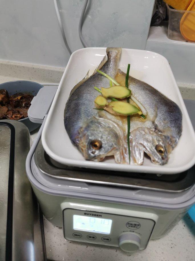 清蒸黄花鱼【北鼎蒸炖锅食谱】