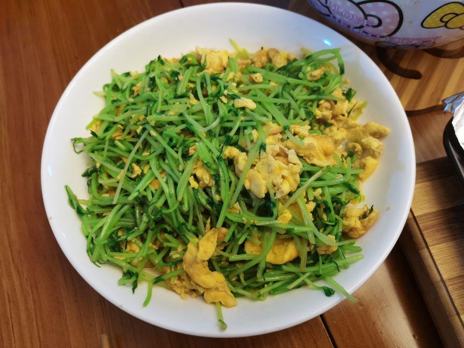 豌豆苗炒鸡蛋，这一口鲜~