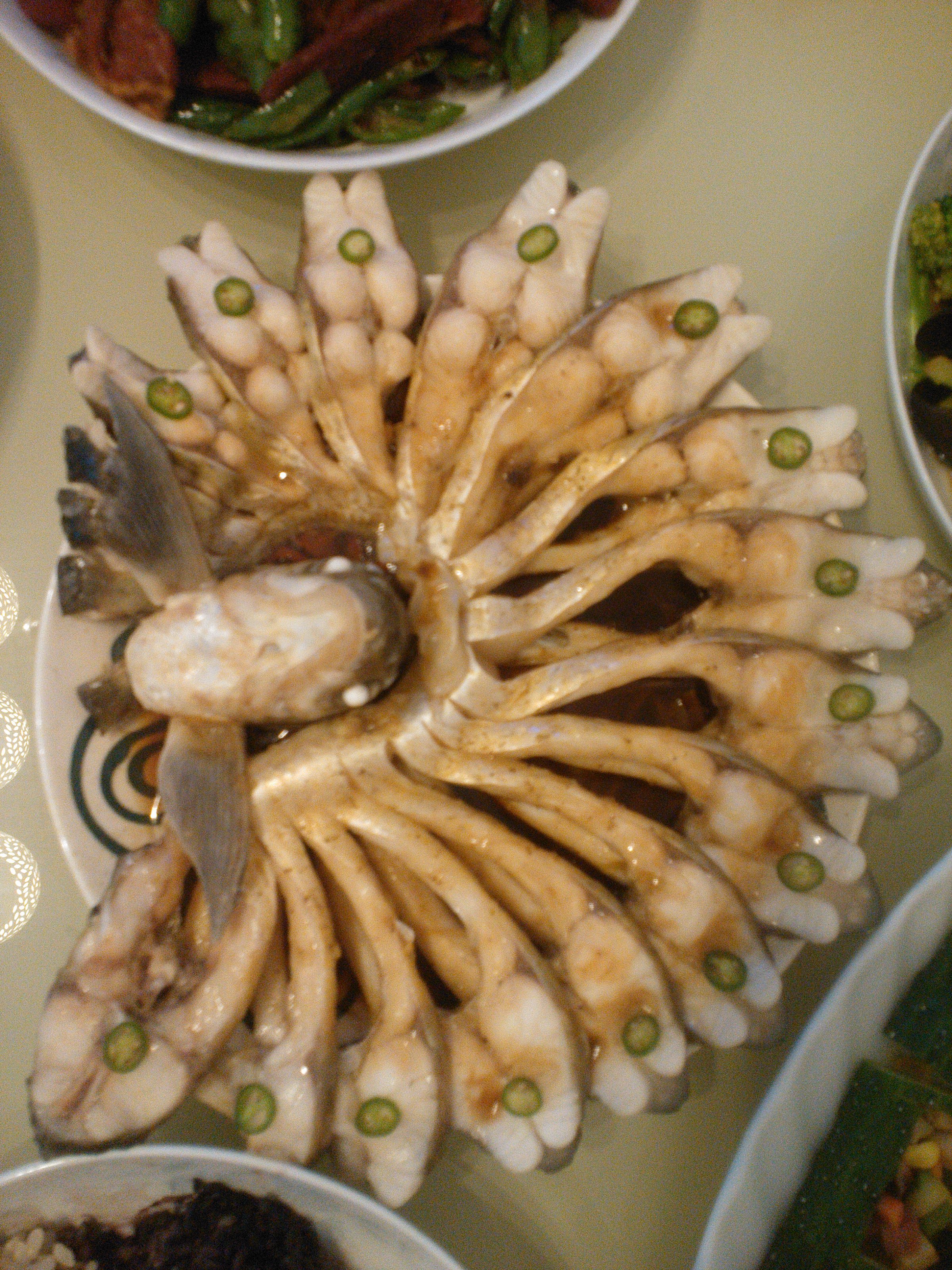 孔雀开屏鱼