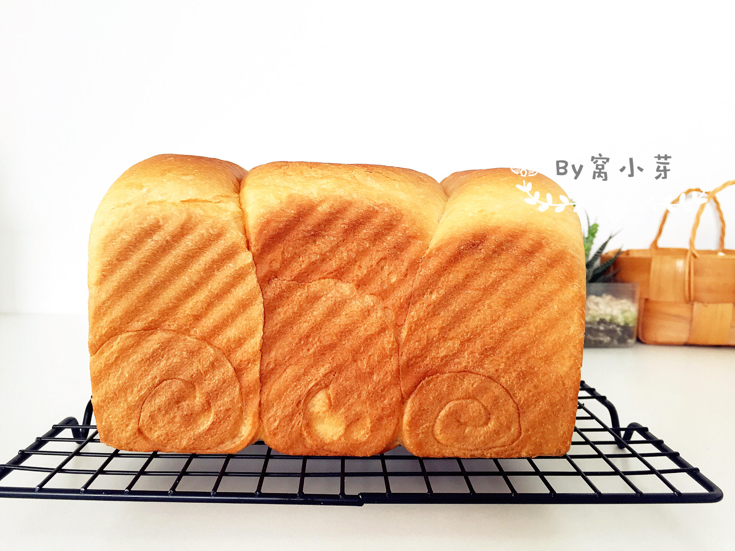 宝宝辅食：宝宝版拉丝超软吐司—拒绝面包添加剂，一次发酵，快速方便！12M+的做法