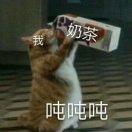 这是琪琪鸭
