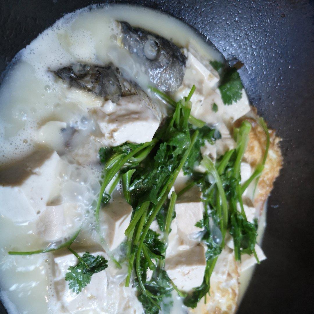 豆腐鲤鱼汤