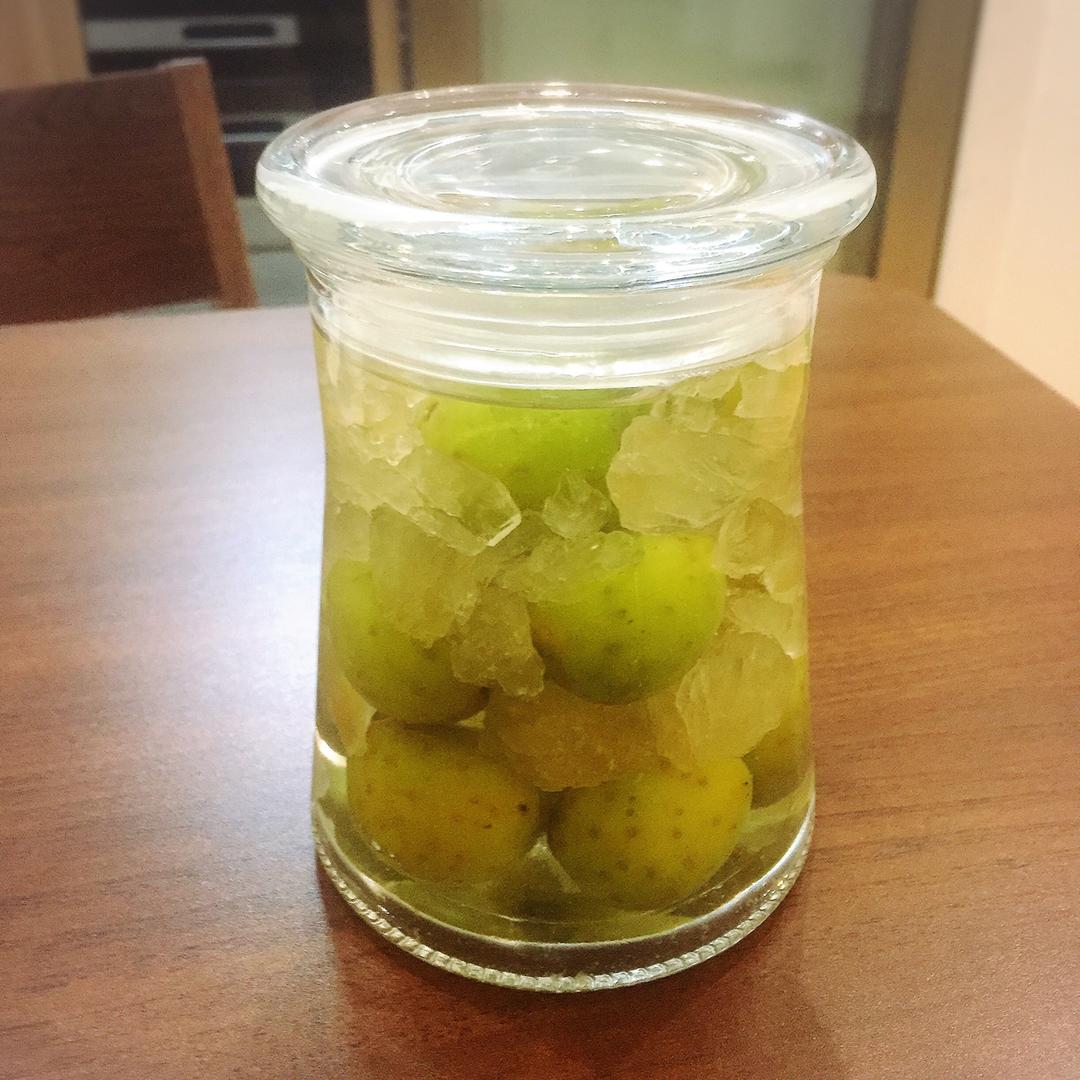 【青梅酒】梅子的沉醉时光（已填坑）