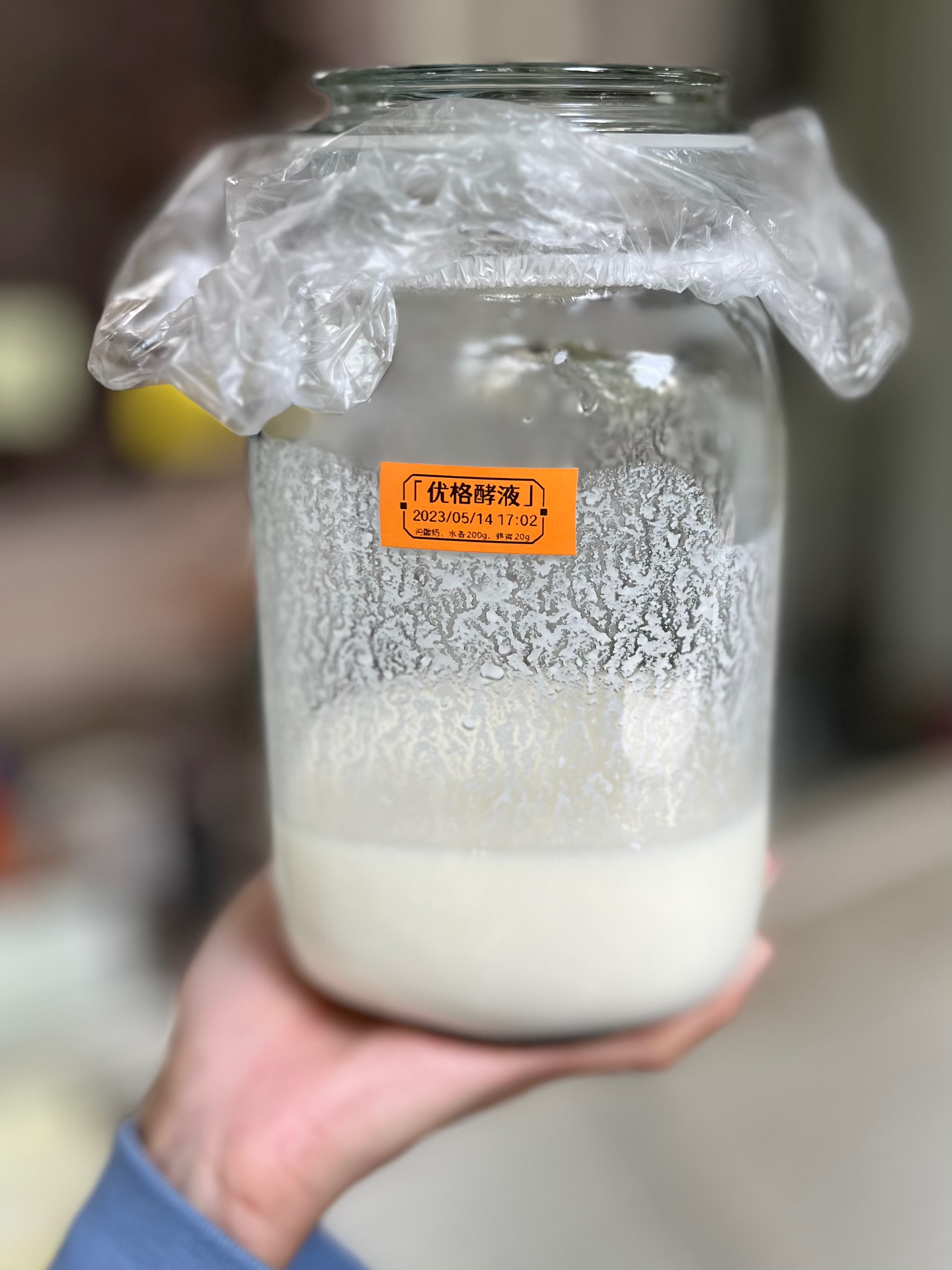 《野生酵母研究室》优格酵母液/酸奶酵液的做法 步骤1