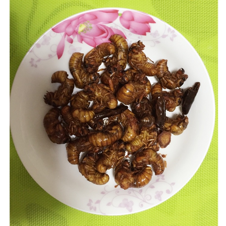 king阳做的脆炸知了猴