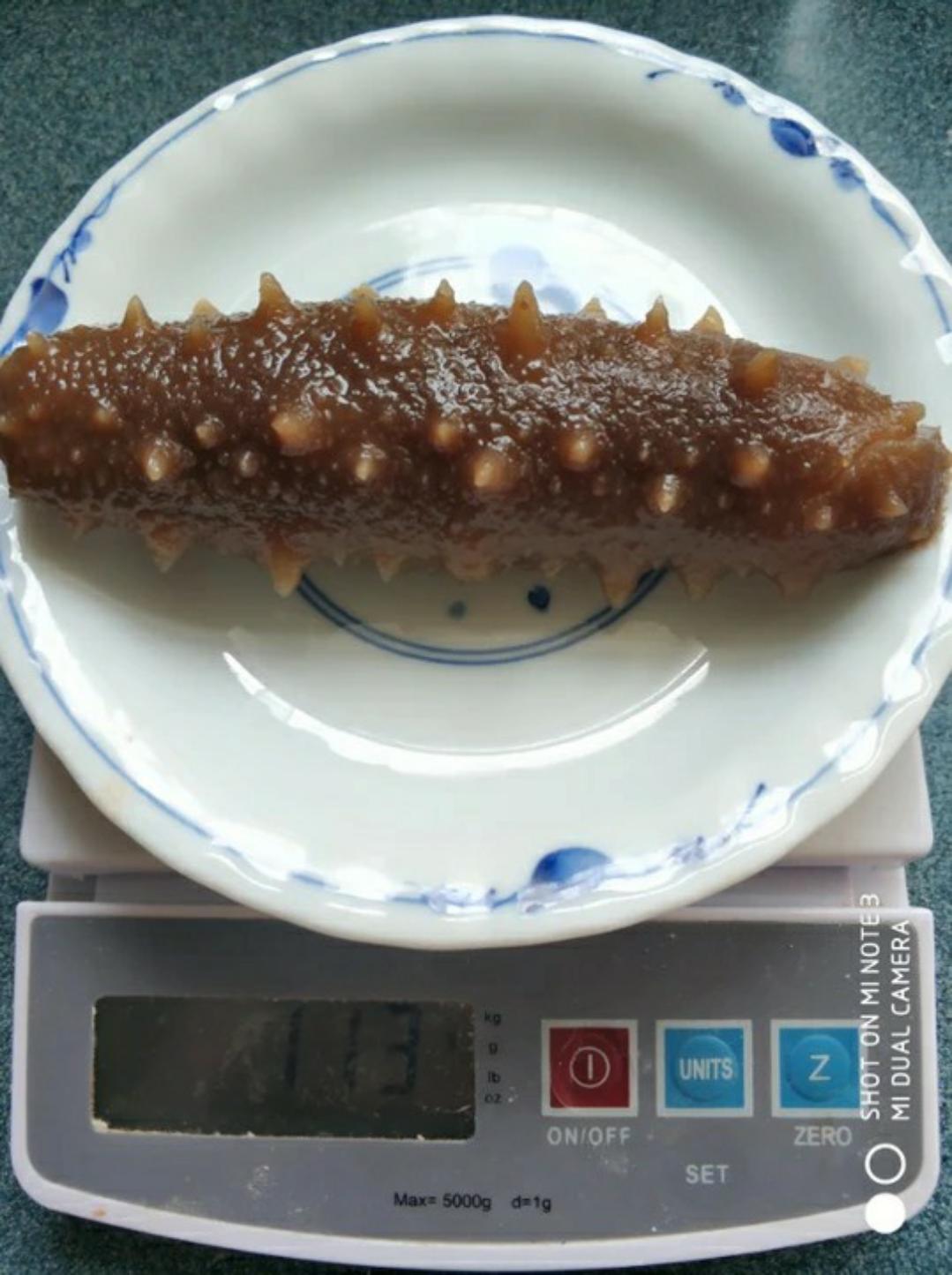 泡发海参全过程（超级详细）