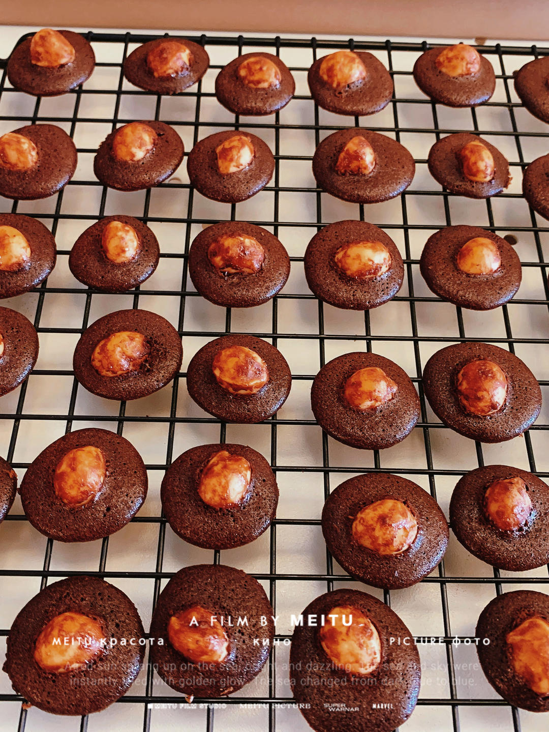 夏威夷果可可脆片