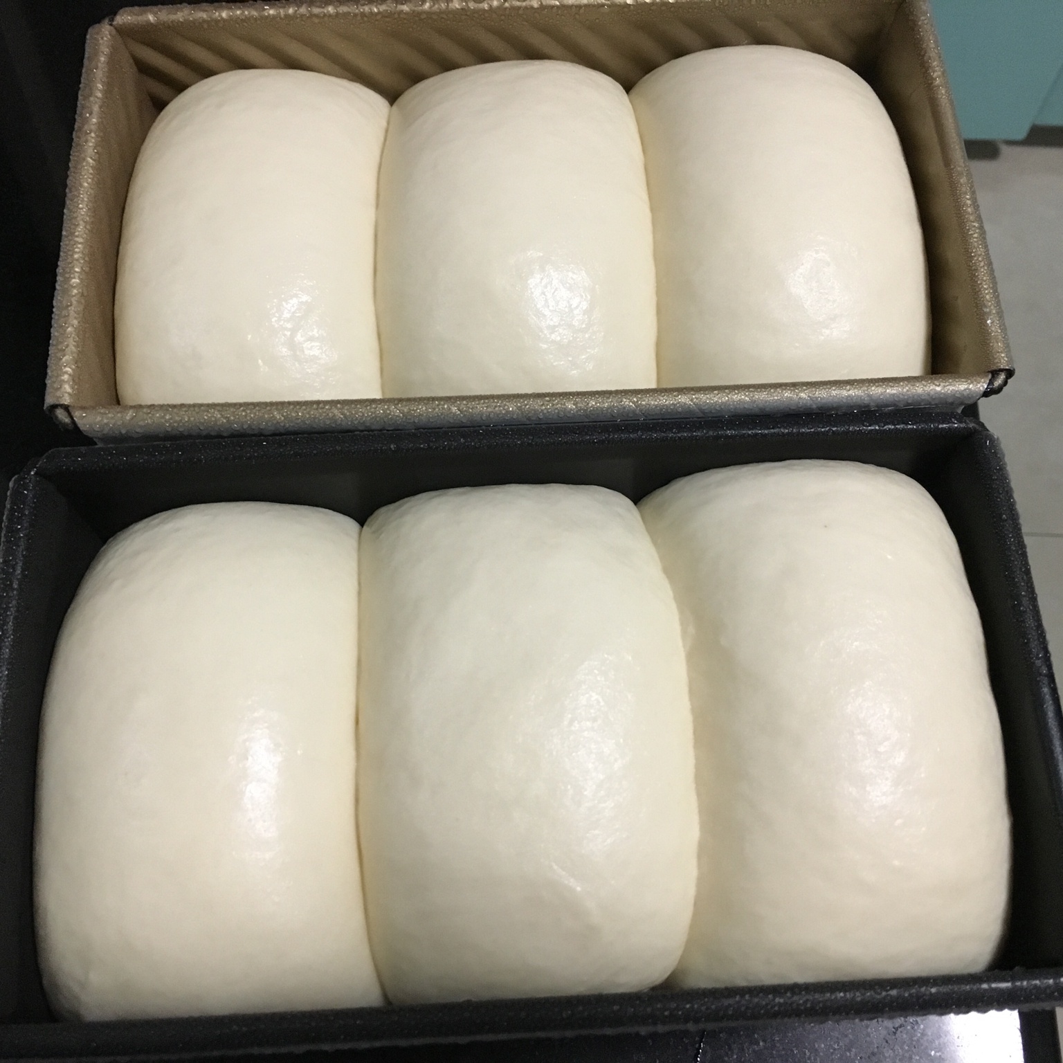 波兰种北海道吐司
