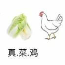 Holic学做菜