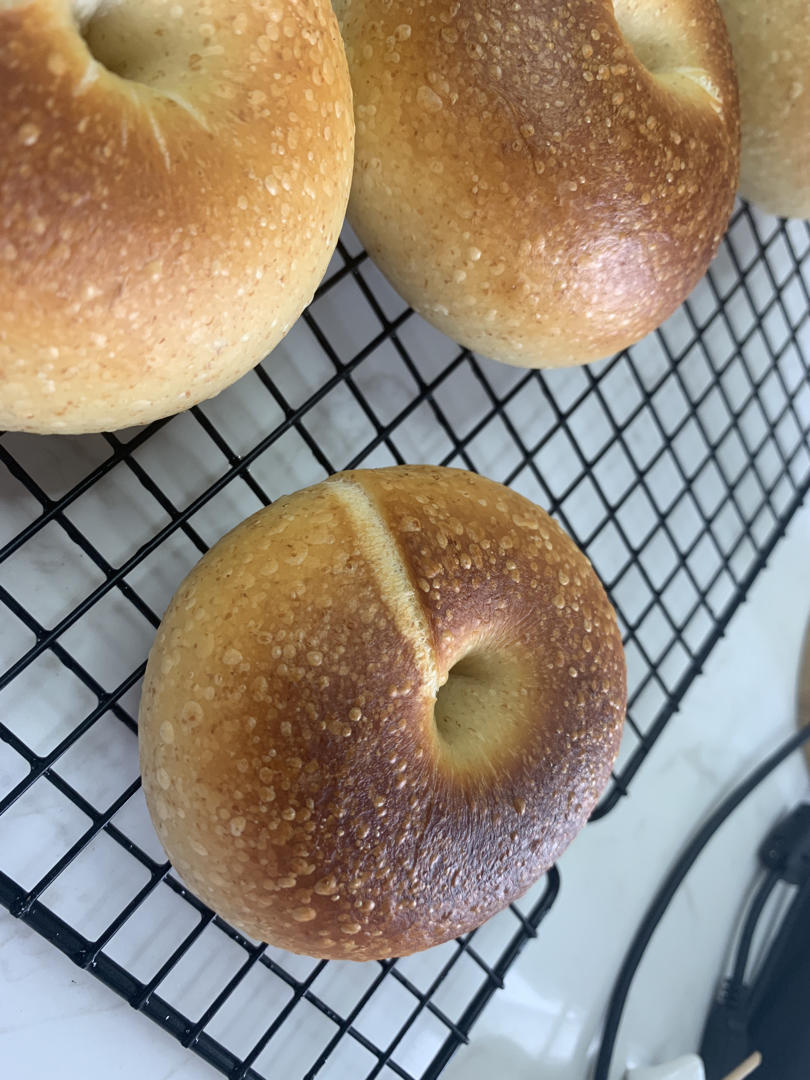 100%天然酵母贝果 - sourdough bagels