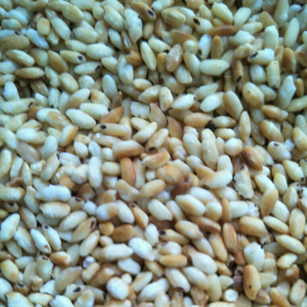 炒米水（养生排毒减肥月子水）