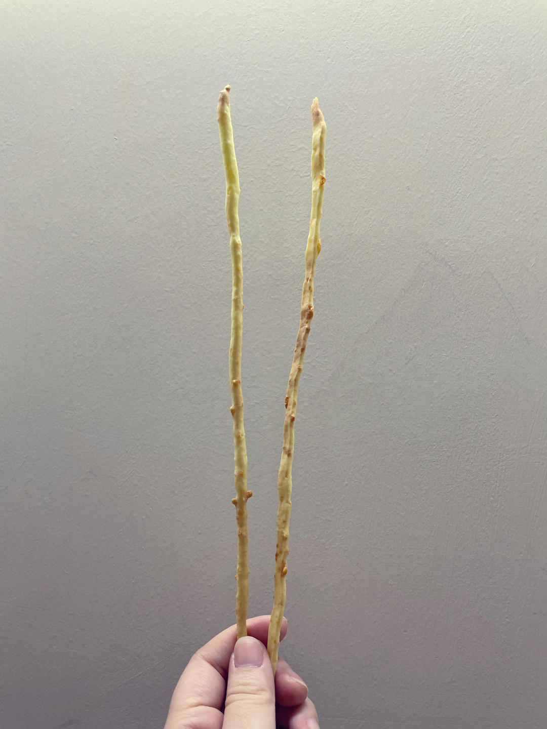 芝士脆棒（非预拌粉）
