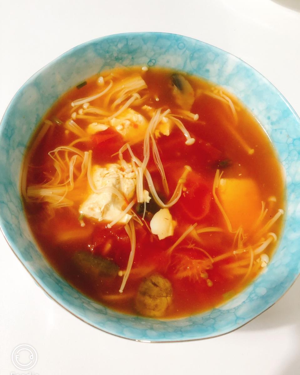 Daily Meals。