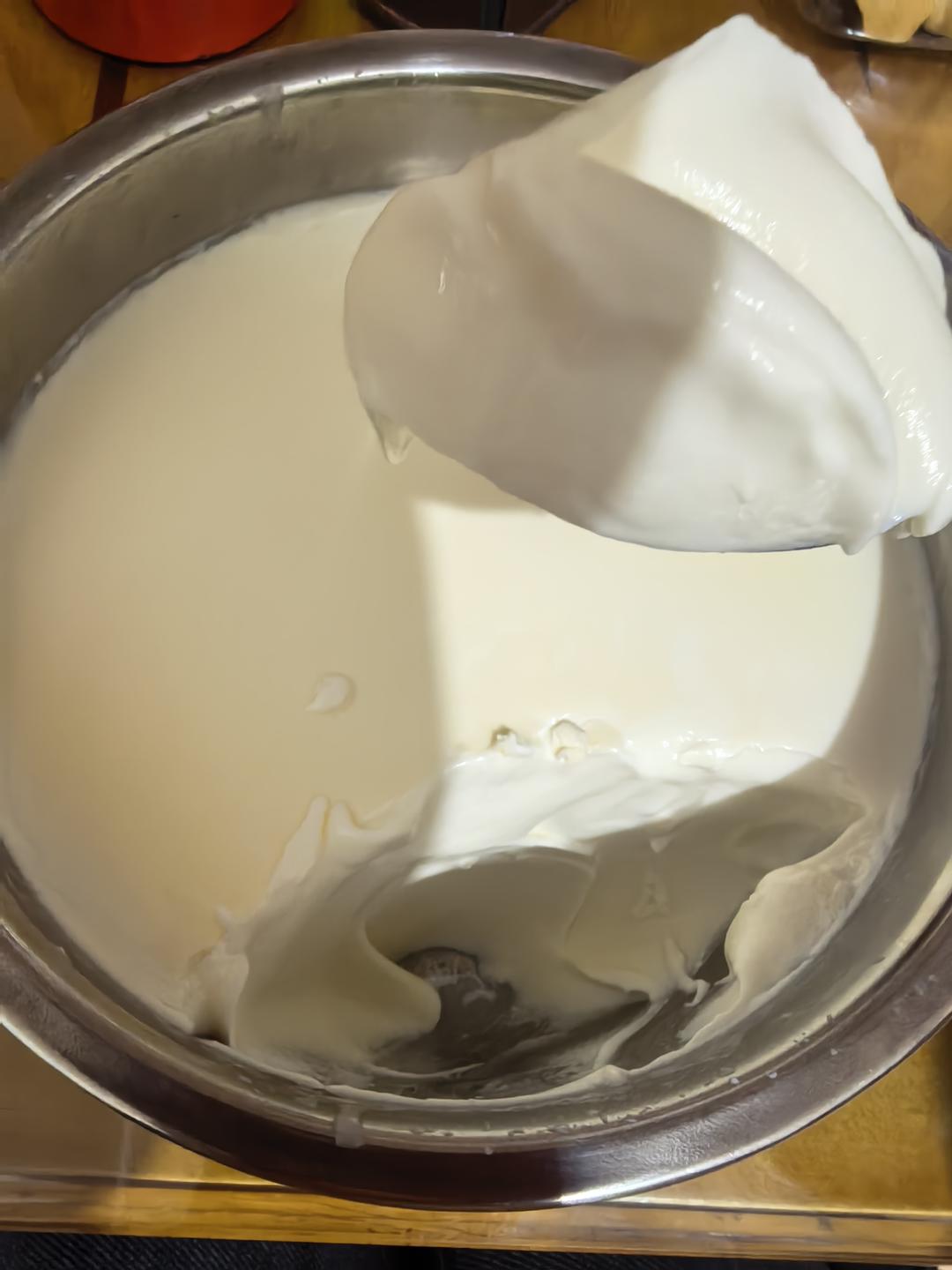 私房爆火的奶皮子酸奶来咯～