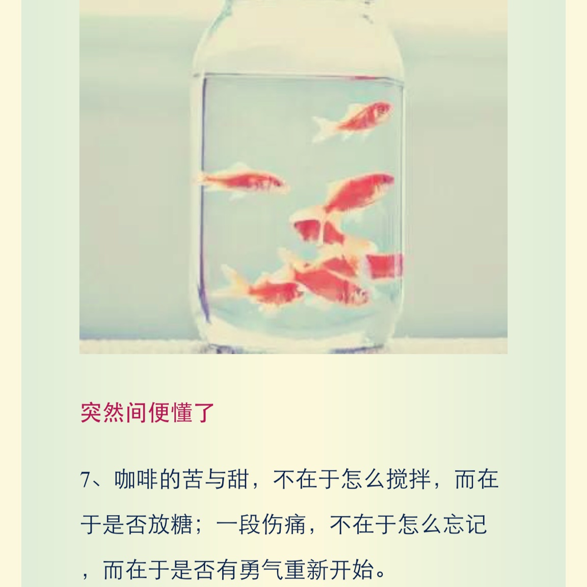 手机用户8177_t91o