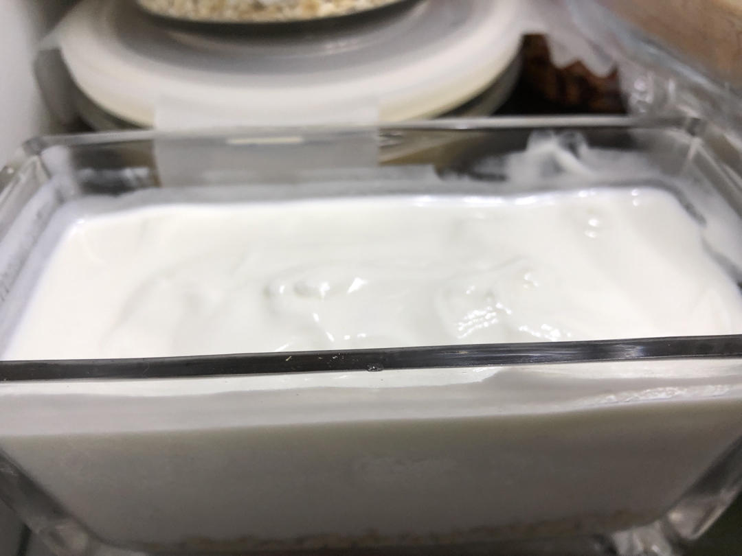 倒杯不撒的万用希腊酸奶（暖气版和暖奶机/养生壶版）