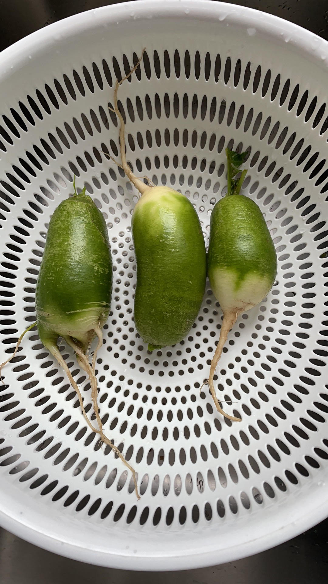 好吃的绿萝卜素馅馅饼