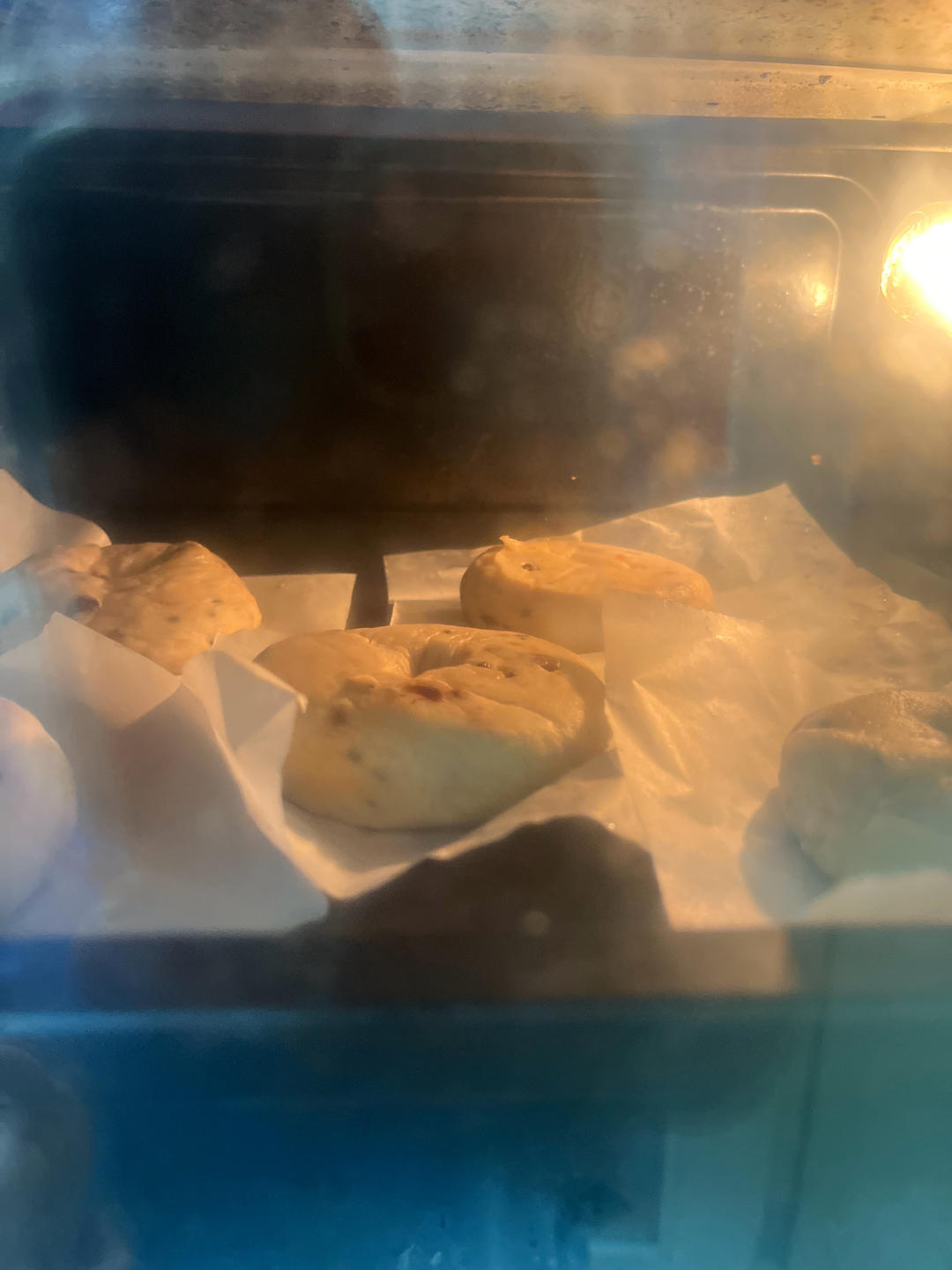 蔓越莓乳酪贝果