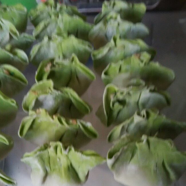 白菜水饺