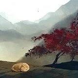 不卖萌的梨子酱