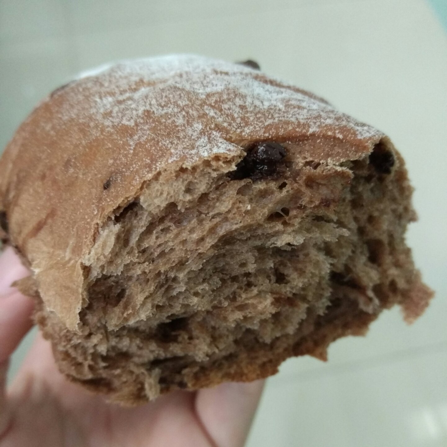 巧克力软欧包(无糖)