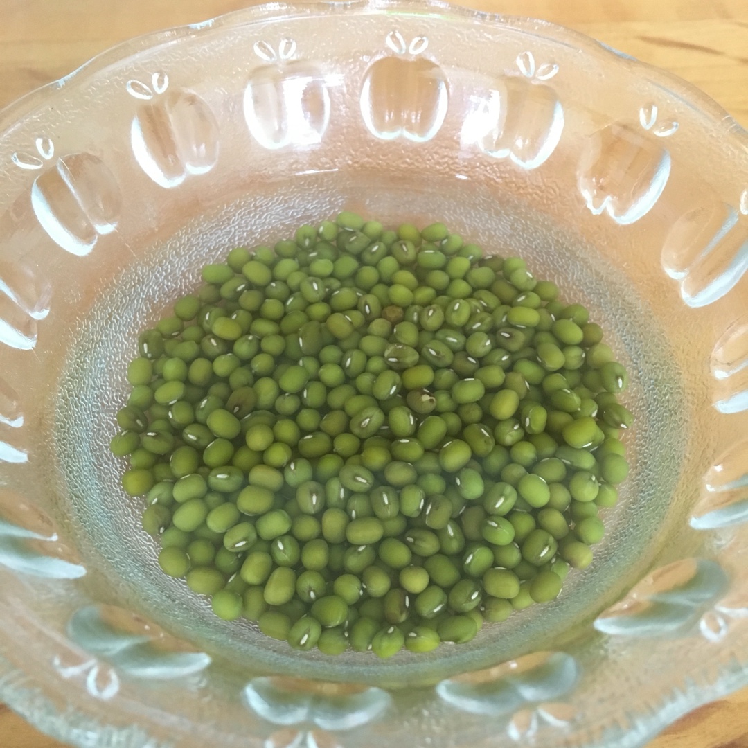 自发豆芽（可乐瓶发豆芽0失败！）