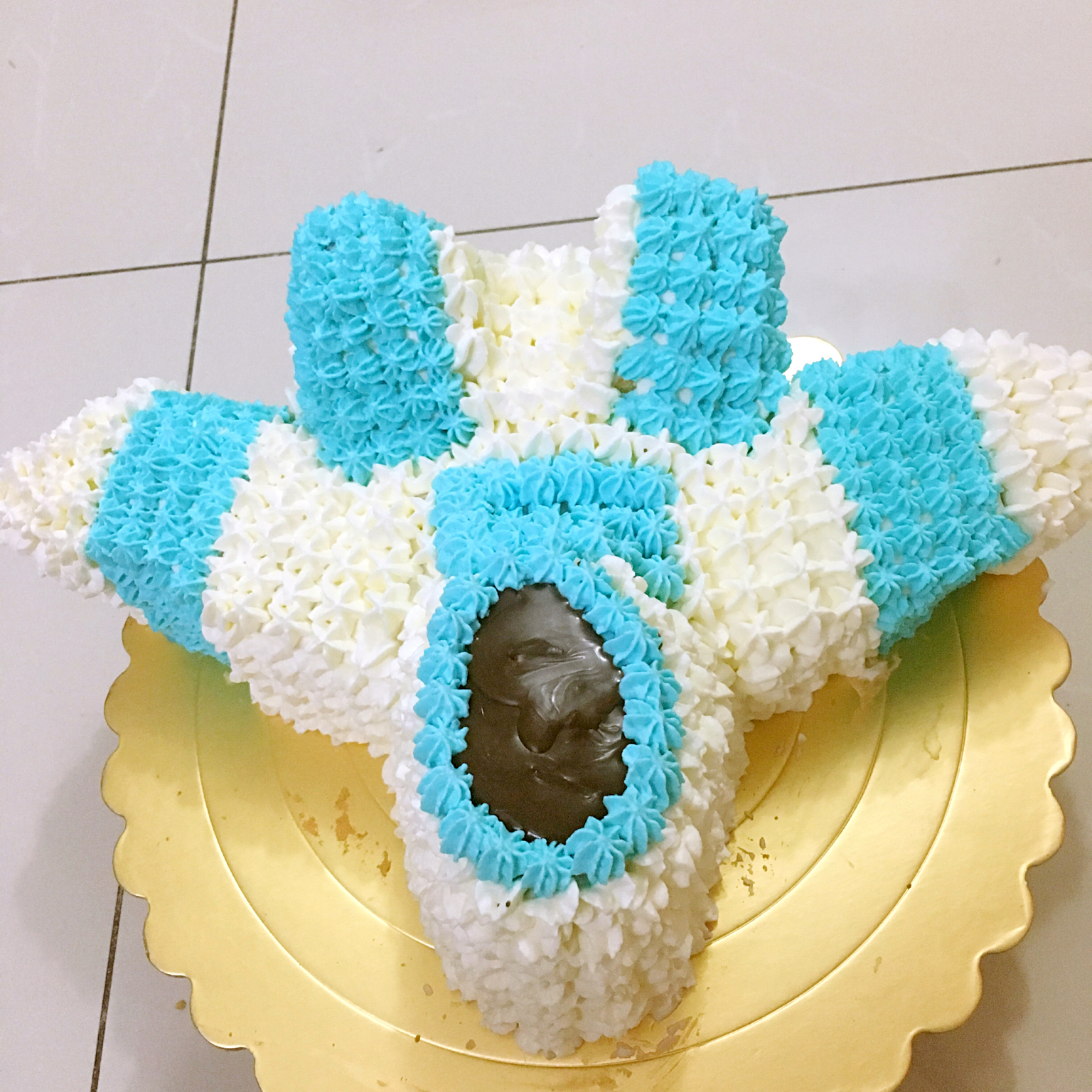 手机用户144990pg做的立体飞机蛋糕