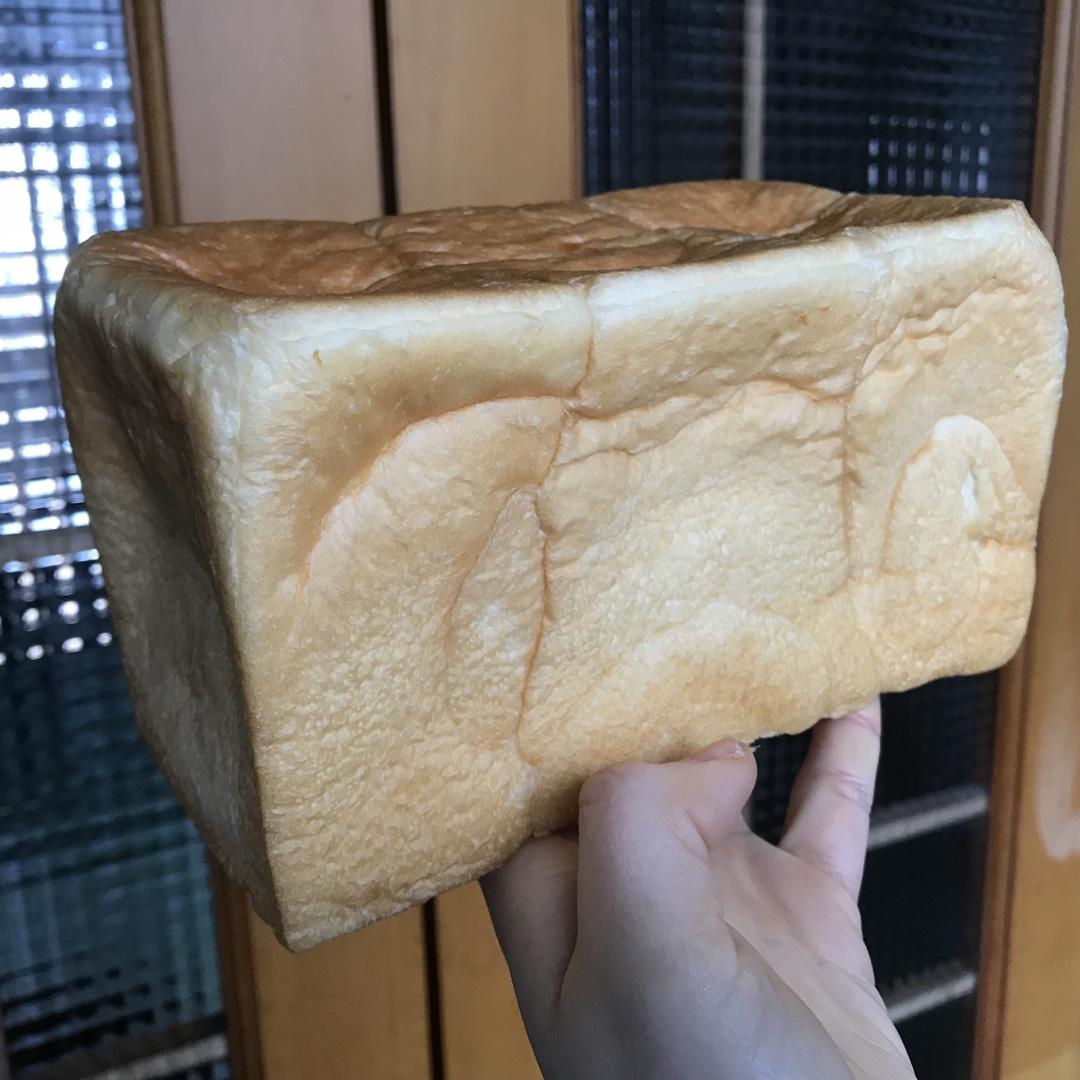 生吐司【波兰种】