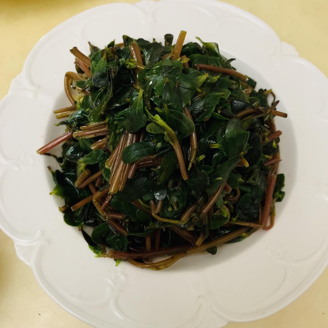 凉拌马齿苋