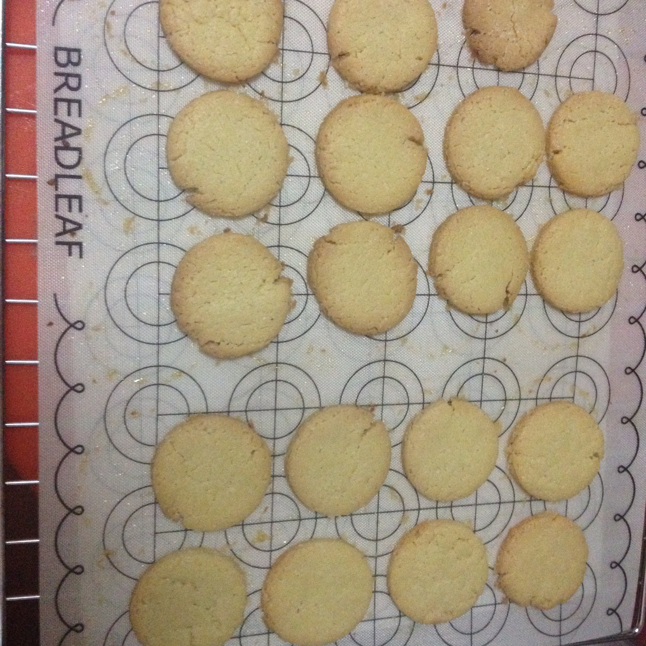 香酥曲奇~爱烘焙的姐姐