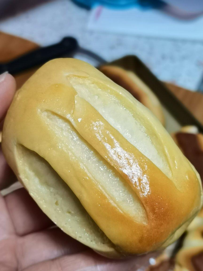 牛奶哈斯