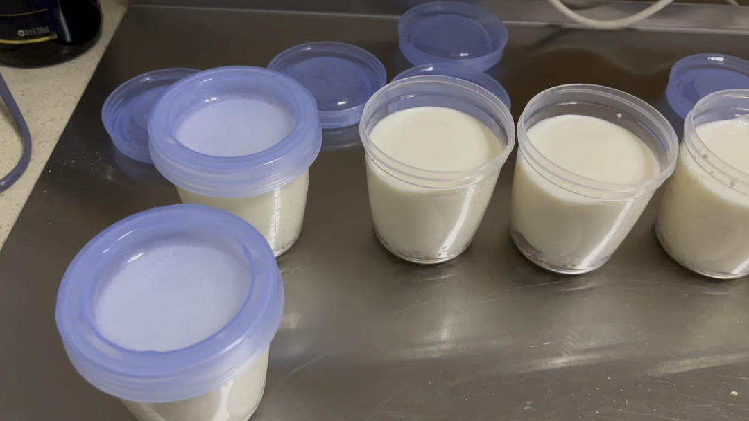 自制酸奶简述